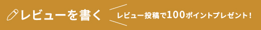 レビューを書く