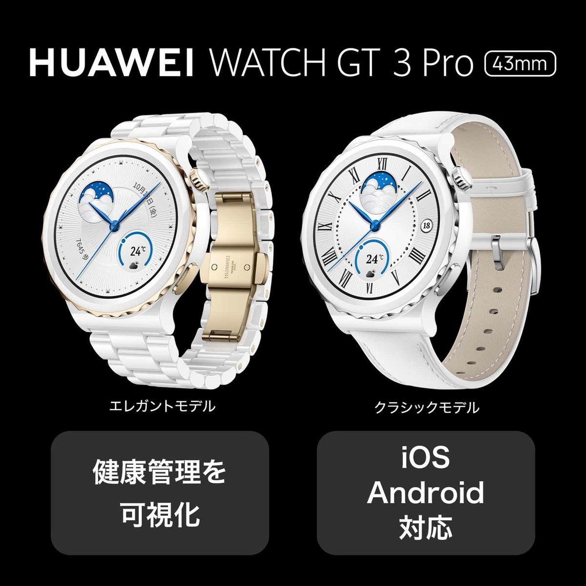 HUAWEI  Watch GT ファーウェイ ウォッチ GT 3 プロ / FRG-B19-SV