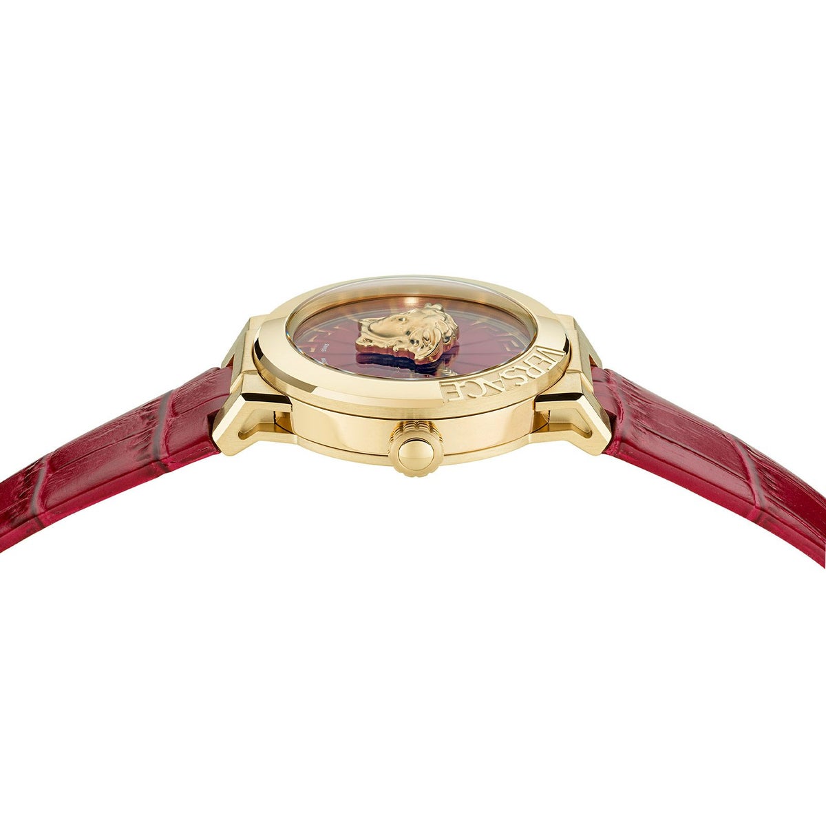 Versace  MEDUSA INFINITE ヴェルサーチェ メドゥーサ インフィニット  / VE3F00722