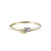 FURLA  ARCH DOUBLE BANGLE フルラ フルラアーチダブルバングル / FJ0115BTL