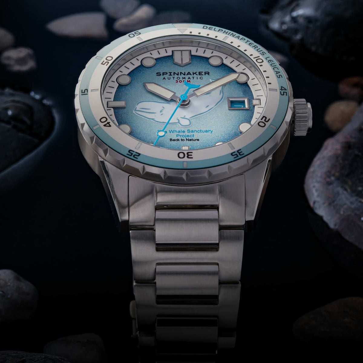 SPINNAKER  HASS AUTOMATIC スピニカー ハス オートマティック<br>ホエール サンクチュアリ プロジェクト リミテッド エディション  / SP-5128-11