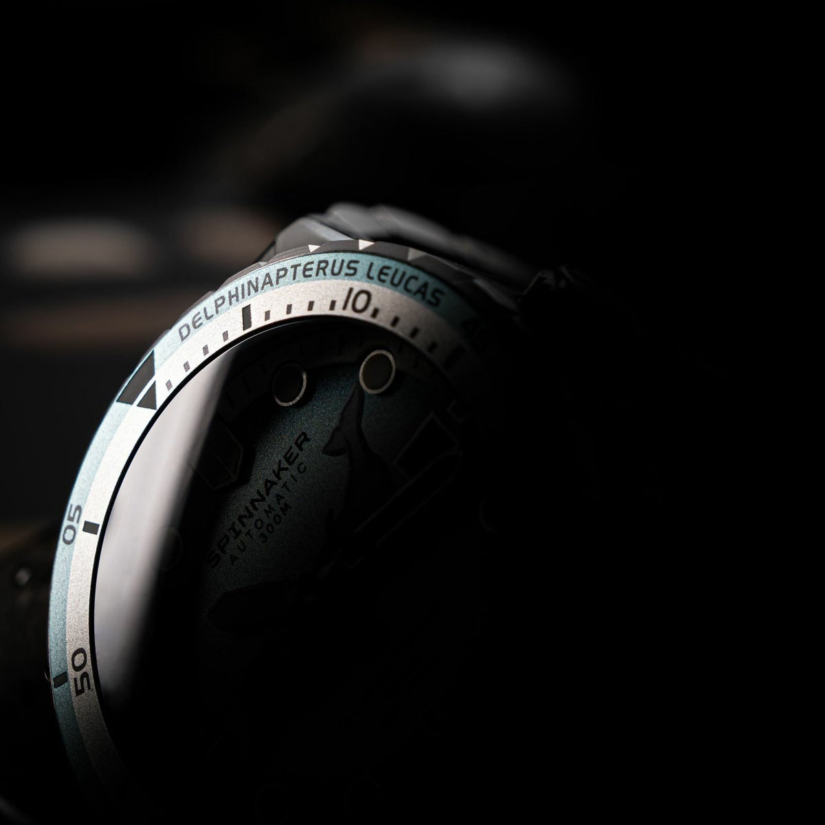 SPINNAKER  HASS AUTOMATIC スピニカー ハス オートマティック<br>ホエール サンクチュアリ プロジェクト リミテッド エディション  / SP-5128-11