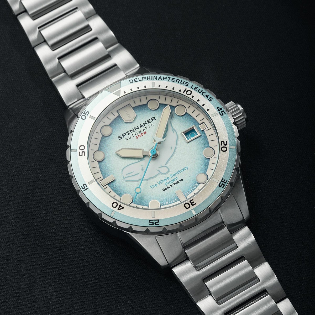 SPINNAKER  HASS AUTOMATIC スピニカー ハス オートマティック<br>ホエール サンクチュアリ プロジェクト リミテッド エディション  / SP-5128-11
