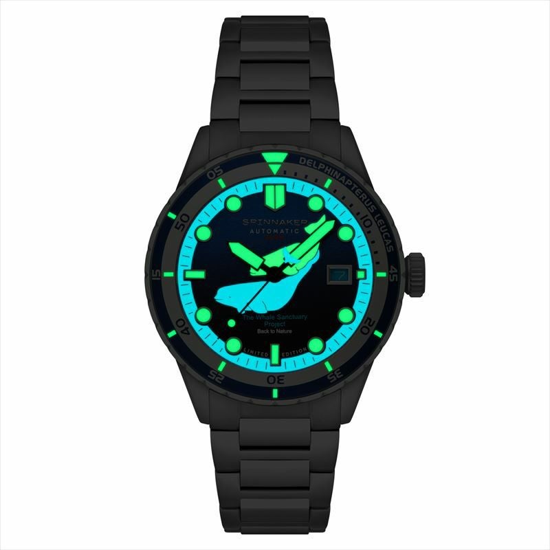 SPINNAKER  HASS AUTOMATIC スピニカー ハス オートマティック  / SP-5128-33