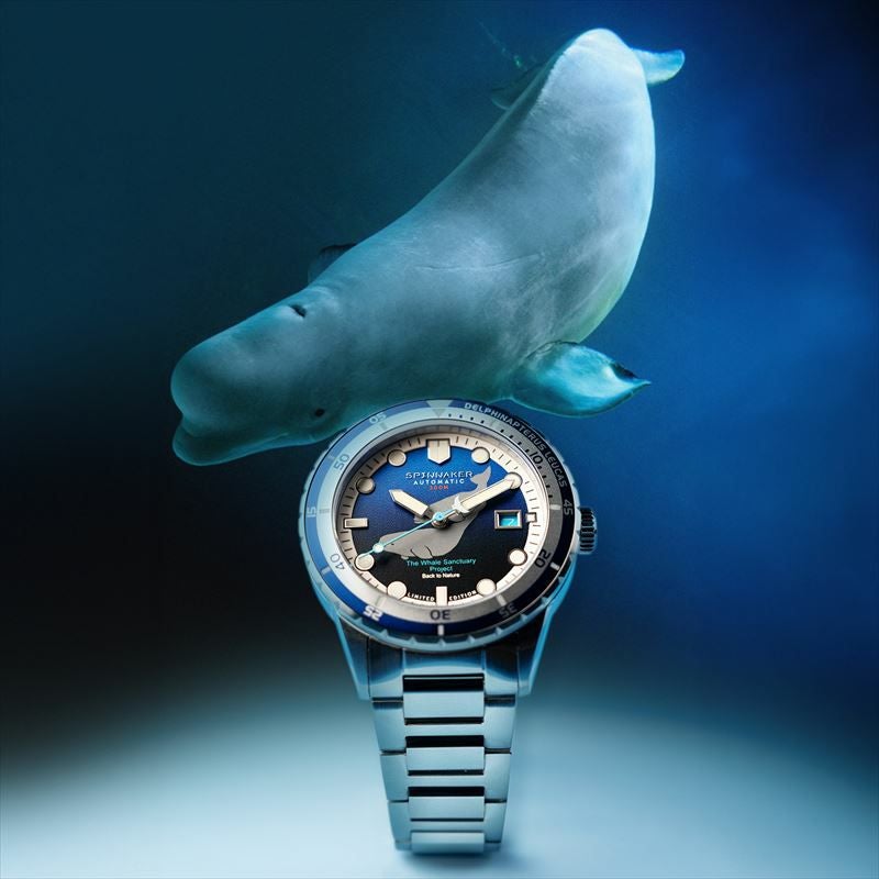 SPINNAKER  HASS AUTOMATIC スピニカー ハス オートマティック  / SP-5128-33