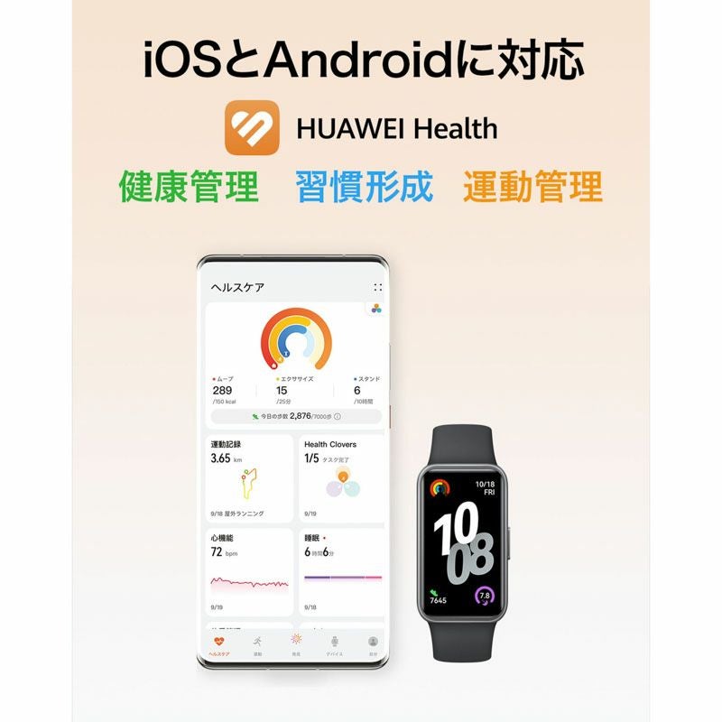 HUAWEI  Band 10 ファーウェイ バンド 10 / NOR-B29-GRE