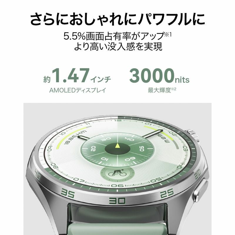 HUAWEI WATCH GT6 ファーウェイ ウォッチ GT6 / ATM-B19-GRE
